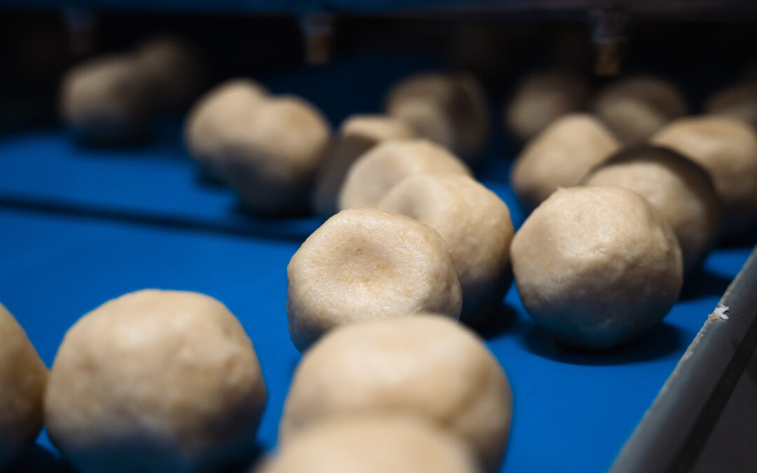 Så fryser du in pite palt! Smarta tips från Piteortens Chark