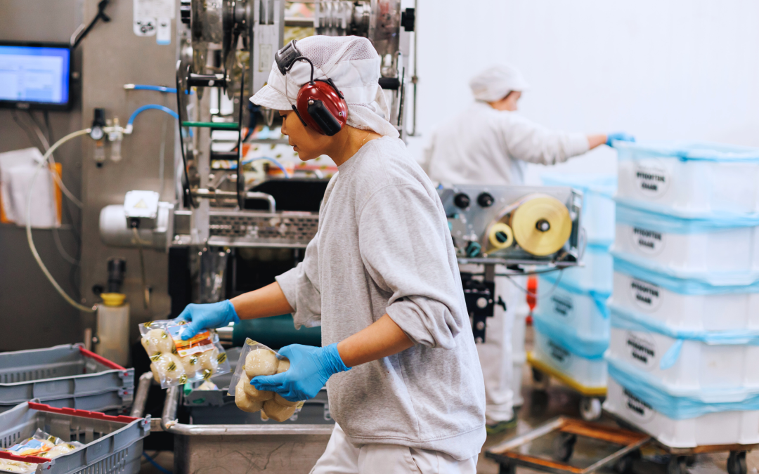 Hållbar mat i vardagen – frys in din pitepalt och chark och minska matsvinnet